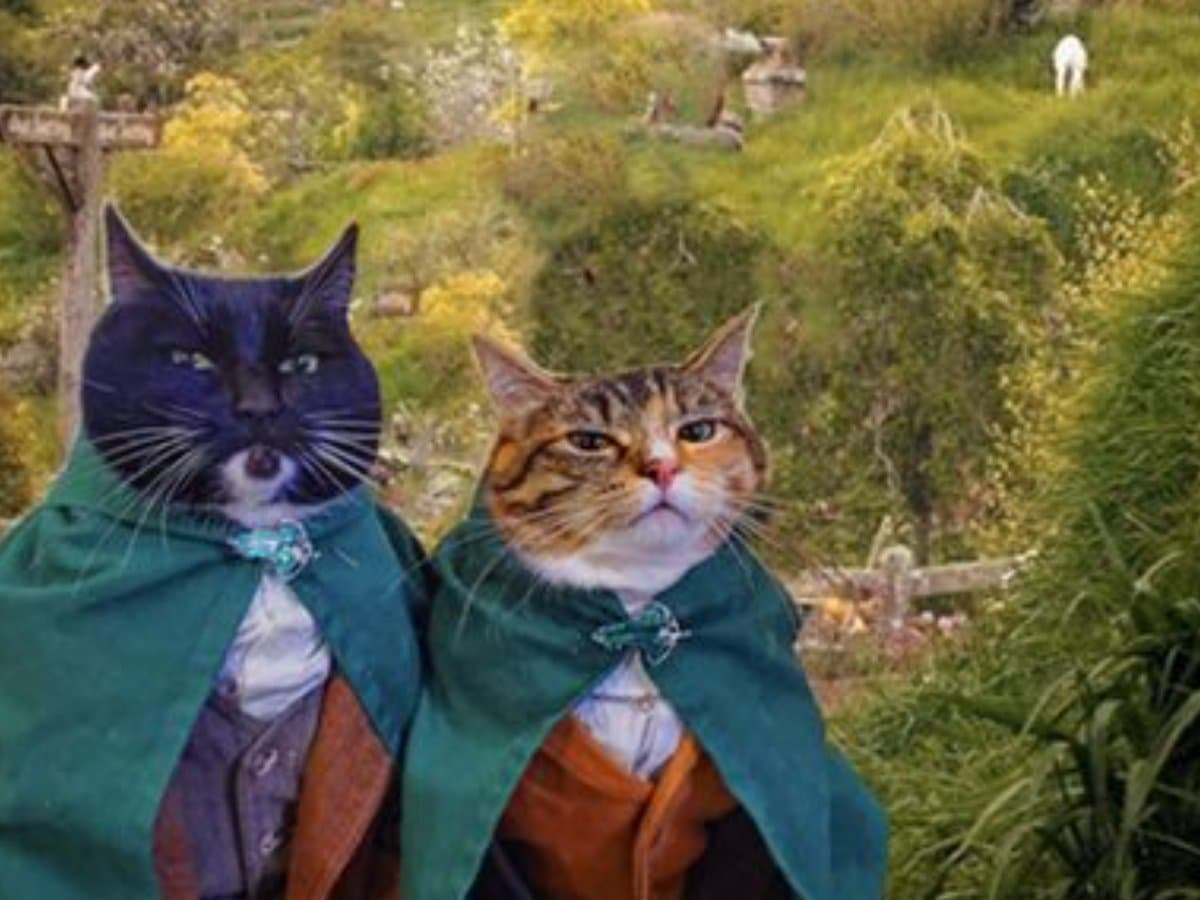 Diária na cabana do Hobbit na serra, com direito a sete refeições diárias no estilo Bilbo Bolseiro