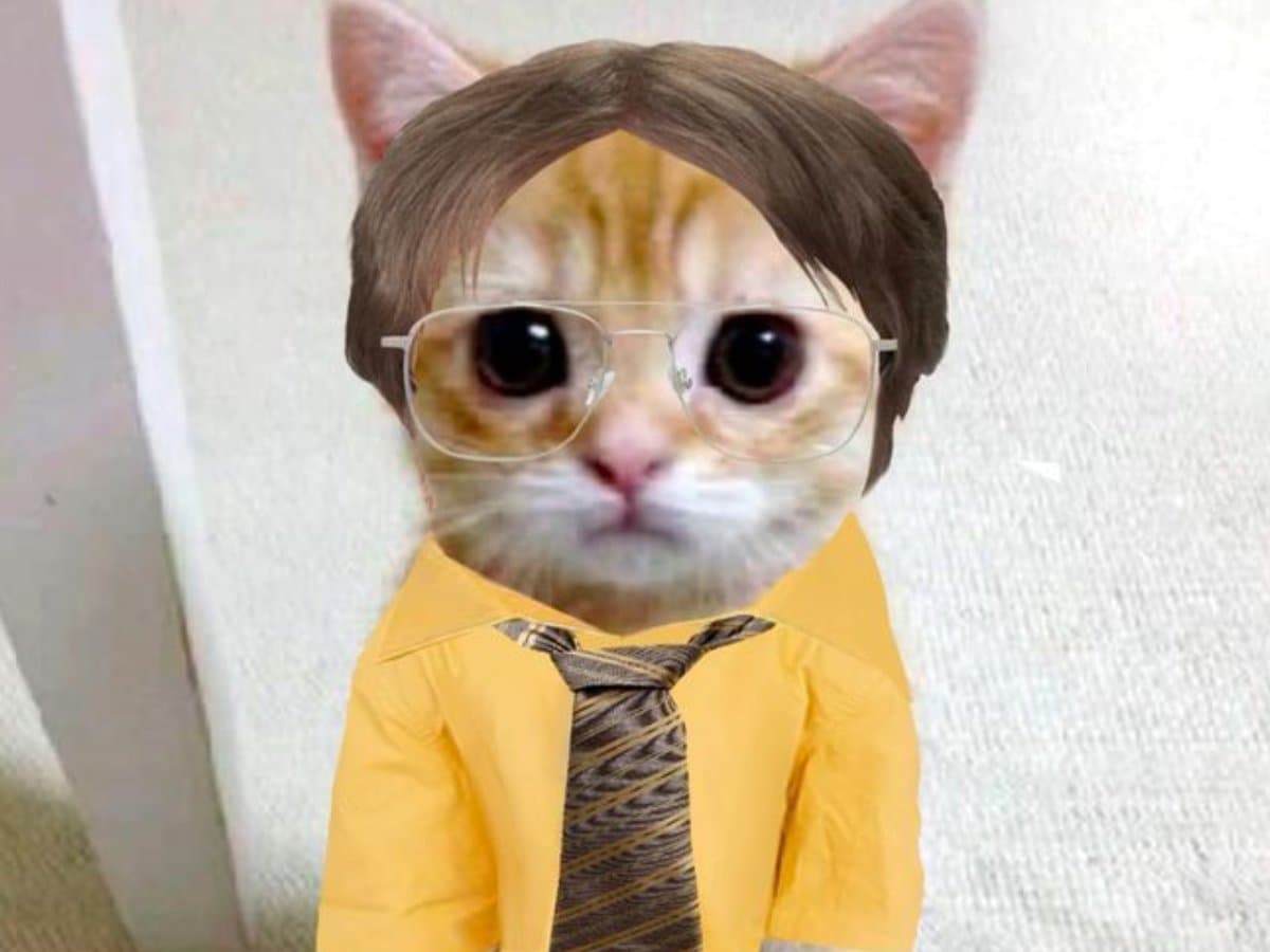 3 meses de Netflix para maratonar The Office pela décima vez