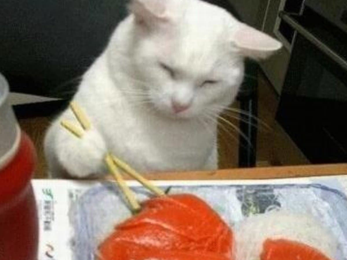 Kit de hashis para comer um sushizinho
