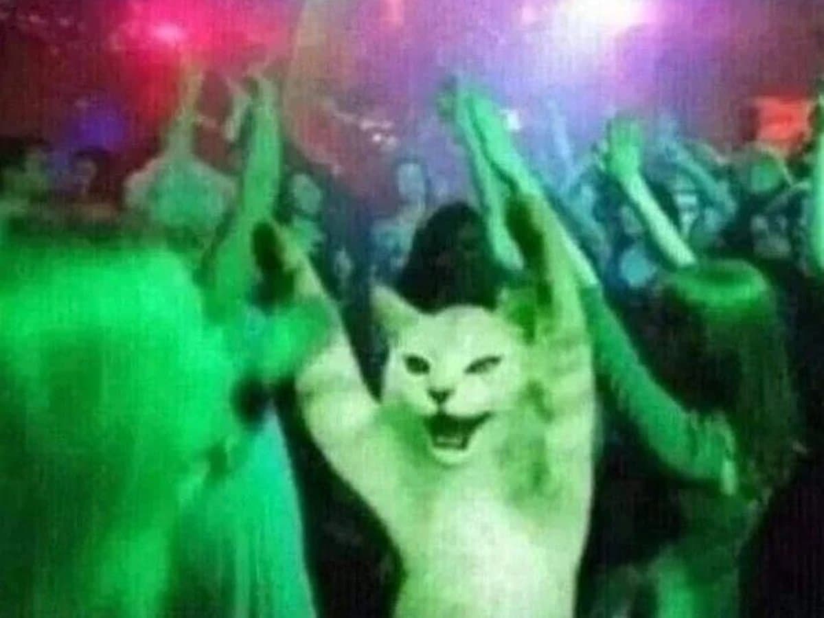Seguro contra tropeços na pista de dança, já que nenhum dos dois sabe dançar